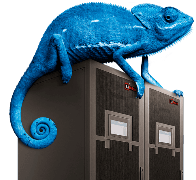 Blaues Chamäleon auf LiBrick UP10 USV-Schrank